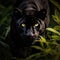 A sleek and powerful black panther prowls through the underbrush