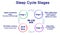 Sleep Cycle Stages