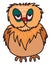A sleep deprived owl vector or color illustration