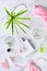 Sleep mask, moisturizer, pink rosa quarz face roller and gua sha stone on marble surface. Facial massage. Green plant leaf is