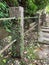 Sleeper handrails and Dischidia nummularia in Erbazi Botanical Garden, Ankeng, Taipei