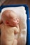 Sleeper newborn baby in white box