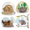 Sleeping animals, postcard, cat, dog, deer, owl