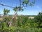 Sleeping bear dunes Michigan sand sky trees birch lake view travel destination scenic hiking trail hills landscape