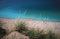 Sleeping Bear Sand Dunes with Lake Michigan View