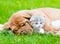 Sleeping Bordeaux puppy dog hugs newborn kitten on green grass