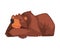 Sleeping Brown Bear, Cute Wild Forest Animal Character Cartoon Vector illustration