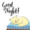 Sleeping cat and Good Night lettering inscription. Good night illustration on white background.