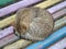 Sleeping cat on old rainbow bench