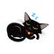 Sleeping Cat Vector. Sleeping Cat Meme Picture. Sleeping Cat Toy.