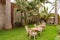 Sleeping corner with three iron chairs in a tropical garden in N