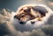 sleeping dog on a cloud. heaven for dogs. pet death.