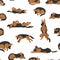 Sleeping dogs poses seamless pattern. German shepherd dogs