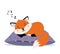 Sleeping fox. Orange cute tod sweet dreams on soft pillow, smiling foxy face autumn babies sleeps vector graphic