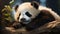 Sleeping giant panda baby. generative ai