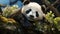 Sleeping giant panda baby. generative ai