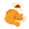 Sleeping ginger cat which dreaming about plate with food. Cute baby cat on white background.