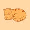 Sleeping ginger in a peaceful position. Cute red tabby cat sleeps. Vector