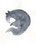 Sleeping grey cat painting in watercolor