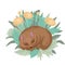 Sleeping hamster in leaves and flowers. Vector illustration.