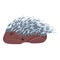 Sleeping hedgehog icon, cartoon style