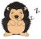 Sleeping Hedgehog and signs z
