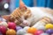 sleeping kitten near pile of soft therapy balls