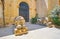 Sleeping lions in court of Grandmaster`s Palace of Valletta, Mal