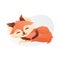 Sleeping Little Foxy. Sweet Animal Vector Illustration