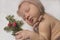 Sleeping newborn baby in a funny hat holds a sprig of fir