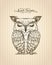 Sleeping owl hand drawn graphic illustration, front view