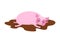Sleeping pig in mud. Farm Animal is sleeping. Sleepy piggy in pu