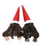 Sleeping puppies Staffordshire bull Terrier in Santa red cap
