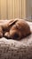 sleeping puppy adorable cinematic photo generative AI