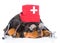 Sleeping rottweiler puppy dog wearing nurses medical hat. isolated