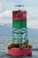 Sleeping seals on a buoy in Alaska.