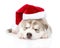 Sleeping Siberian Husky puppy with santa hat. isolated on white