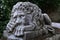 Sleeping stone lion statue as guardian in botanical garden