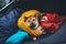 Sleeping tourist girl hug resting dog together in camp tent, close up portrait red shiba inu leisure, hiker woman with puppy dog