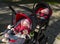 Sleeping twins baby in double stroller