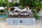 Sleeping Venus - San Antonio Park