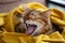 Sleeping and yawning bengal cat in yellow blanket