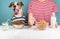 Sleepy dog and human having breakfast together. Minimalistic ill