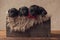 Sleepy family of four small labrador retriever puppies resting