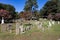 Sleepy Hollow Cemetery with Old Tombstones
