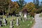 Sleepy Hollow Cemetery with Old Tombstones and Colorful Trees during Autumn