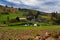 Sleepy Hollow Farm with beautiful landscape