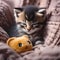 A sleepy kitten snuggled up in a cozy bed, with a toy mouse beside it2