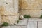 Sleepy pidgeon with his head tucked in standing on marble in a corner of the ruins near the Parthenon with rough ancient stones in