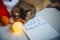 Sleepy red kitten napping on the floor next to Christmas accessories and a notebook with inscription